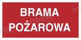 BRAMA POŻAROWA - płyta fotoluminescencyjna 20x40cm