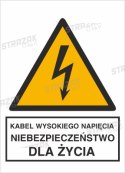 KABEL WYSOKIEGO NAPIĘCIA. NIEBEZPIECZEŃSTWO DLA ŻYCIA - płyta sztywna 20x30cm