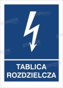 TABLICA ROZDZIELCZA - płyta sztywna 20x30cm