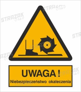 UWAGA! NIEBEZPIECZEŃSTWO OKALECZENIA - płyta sztywna 20x30cm