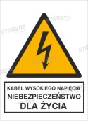 KABEL WYSOKIEGO NAPIĘCIA. NIEBEZPIECZEŃSTWO DLA ŻYCIA - folia samoprzylepna 20x30cm