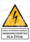 KABEL WYSOKIEGO NAPIĘCIA. NIEBEZPIECZEŃSTWO DLA ŻYCIA - folia magnetyczna 10x15cm