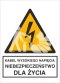 KABEL WYSOKIEGO NAPIĘCIA. NIEBEZPIECZEŃSTWO DLA ŻYCIA - folia magnetyczna 5x7cm