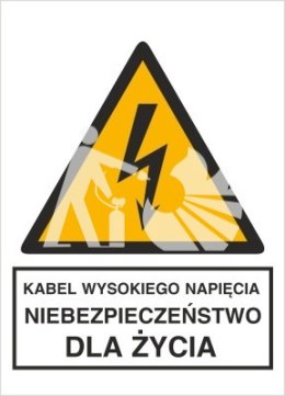 KABEL WYSOKIEGO NAPIĘCIA. NIEBEZPIECZEŃSTWO DLA ŻYCIA - folia samoprzylepna 5x7cm