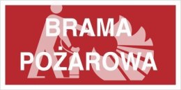 BRAMA POŻAROWA - płyta sztywna 20x40cm
