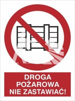 DROGA POŻAROWA. NIE ZASTAWIAĆ! - płyta sztywna 30x40cm