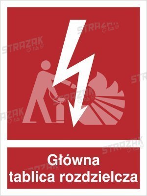 GŁÓWNA TABLICA ROZDZIELCZA - folia zwykła 15x20cm