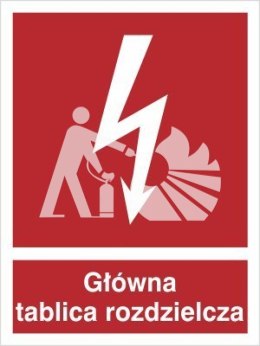 GŁÓWNA TABLICA ROZDZIELCZA - płyta sztywna 15x20cm